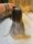 Onde comprar cabelo humano em Londrina – Fios naturais